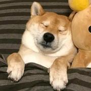 宇宙藏进眸的个人资料头像