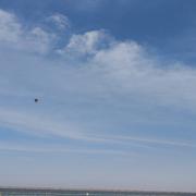 用户5012306978430的个人资料头像