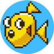 小黄鱼717的个人资料头像