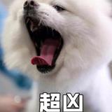 只想爱着你1993头像