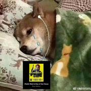 悲观锁的个人资料头像