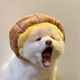 有个狗叫来福头像