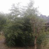 给我几秒钟832头像