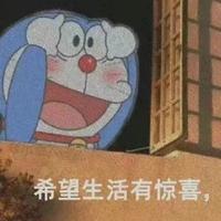 多肉跑不快头像