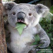 君君君君LJ的个人资料头像