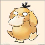 杜拉克草的个人资料头像