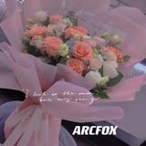 Arcfox婧婧头像