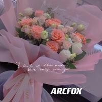 Arcfox婧婧头像