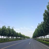 止于心761头像