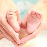 足智多谋百灵鸟hzN头像