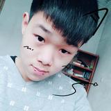 异乡人鹏宝头像