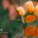 田宽的个人资料头像