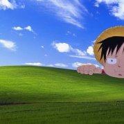 wahh的个人资料头像