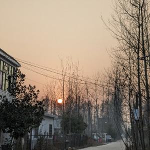 愉悦的书签MS头像