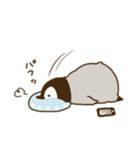 xxsue的个人资料头像