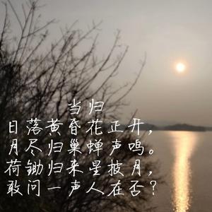 读书的松鼠头像