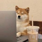 冬天的蛇的个人资料头像