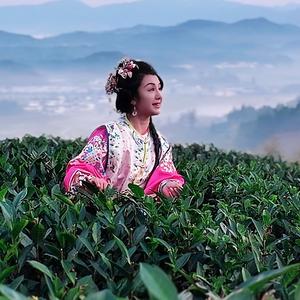 徽小木头像