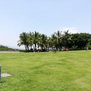 阿楠745的个人资料头像