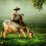 牛牛君中源牧业头像