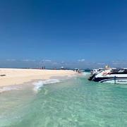 魏廷涛的个人资料头像