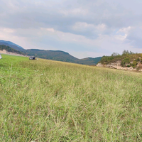 爱佳百货好物头像