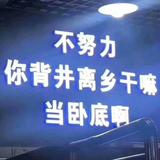 翔翱498头像