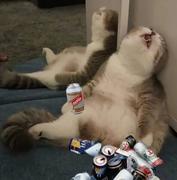 萨科的个人资料头像