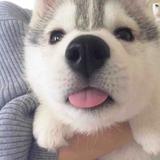 用户2385980699911头像
