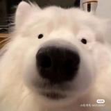 用户3288175749045头像
