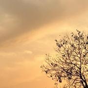 Puzzle的个人资料头像