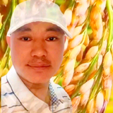 刚哥爱国产车头像