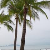 小东北澳门风云头像
