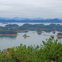 爱生活的溪流np5头像