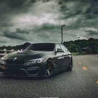 率真河流7B1头像