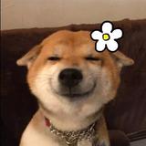 取一个独一无二的昵称头像