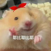 莫名字的个人资料头像