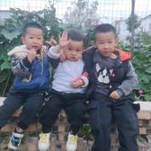 任磊落头像