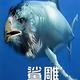 baunyYAO头像