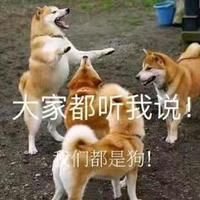 已安检头像