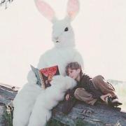 小何才露煎煎jio的个人资料头像