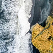 theBee的个人资料头像