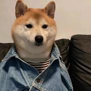 灯火阑珊c的个人资料头像