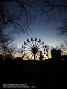 荞麦面的个人资料头像