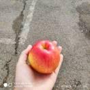 赧然一笑的个人资料头像