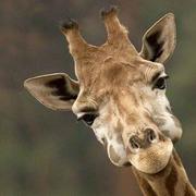 空格232的个人资料头像