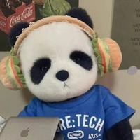 不会骑电摩的宇头像