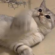 suikin的个人资料头像