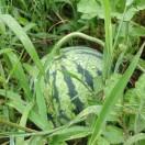 atom同学91941的个人资料头像