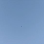 FortuneWang的个人资料头像